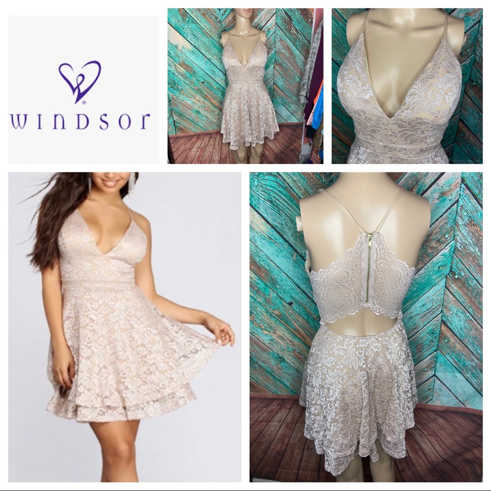 Windsor Glitz And Glam Metallic Blush Lace Skater Dress